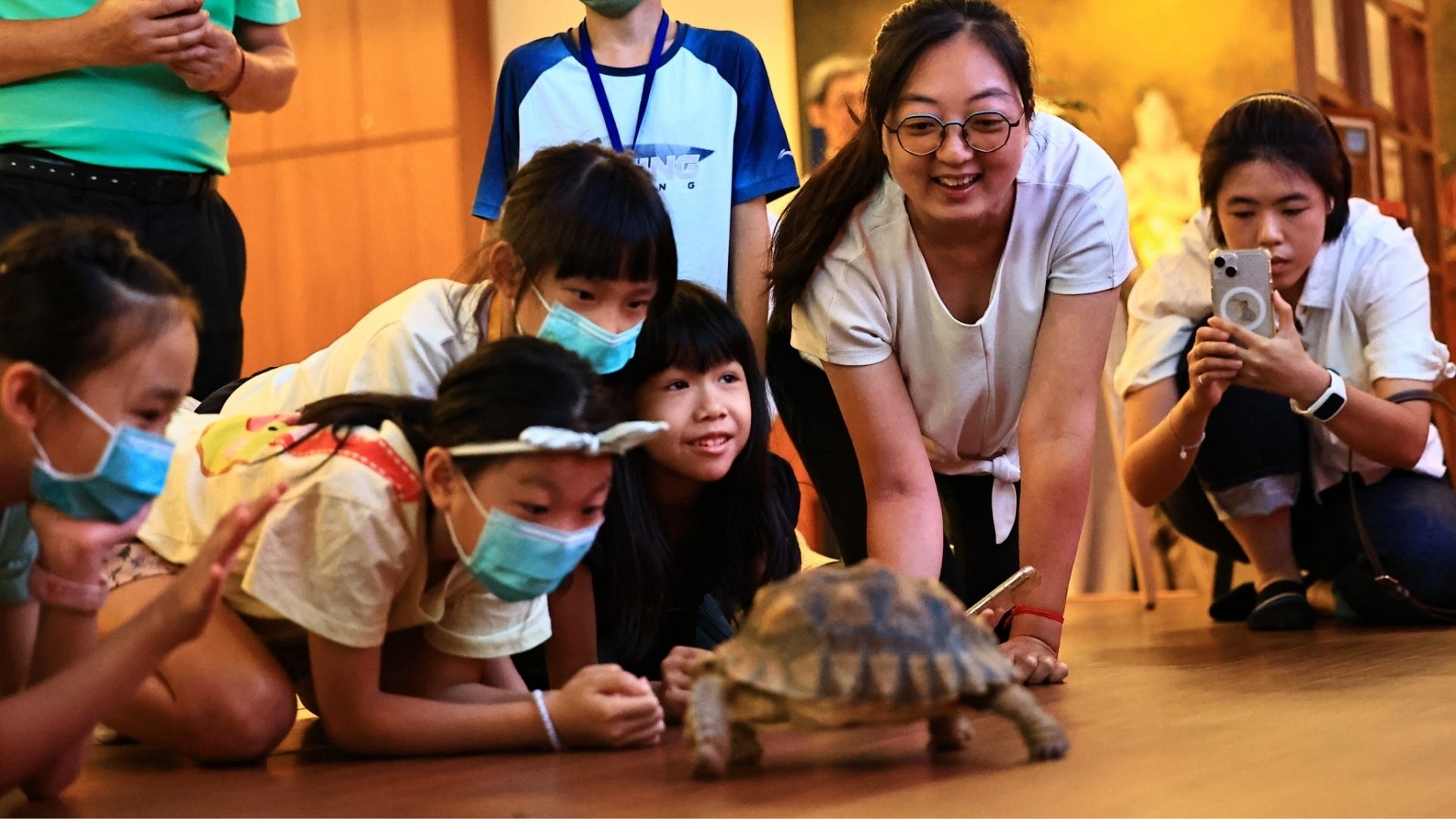 Read more about the article 綠色處方箋系列：寵物療癒 × 蔬食飼養，身心共融的午後時光