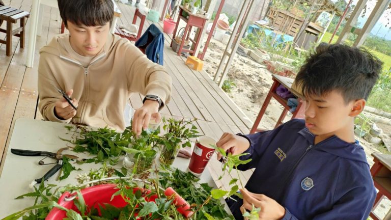 具備課綱研發與教學設計的實踐者：台灣大慈恩推動系統化食農教育